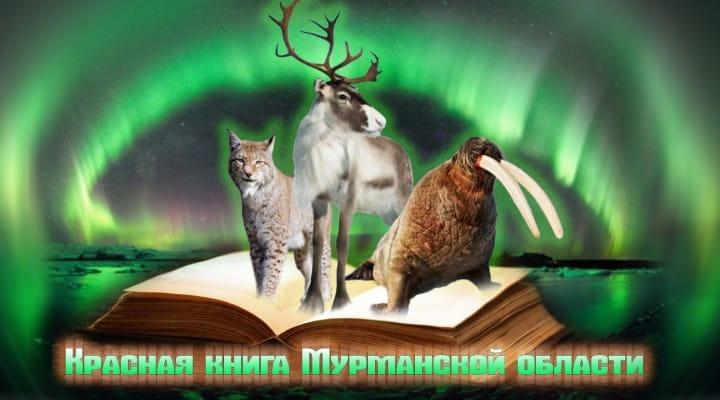 "Красная книга Мурманской области"